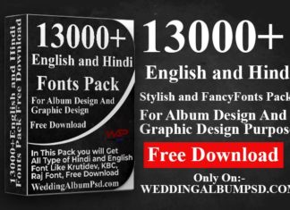 13000+English and Hindi Fonts Pack Free Download