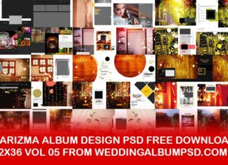 Karizma Album Design PSD Free Download 12x36 Vol 05