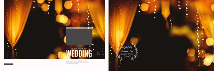Professional Wedding Album Background PSD 12x36 Free Download Vol 02