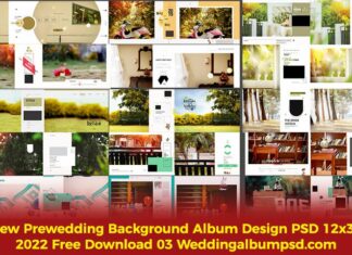 New Background Album Design PSD 12x36 2022 Free Download 03